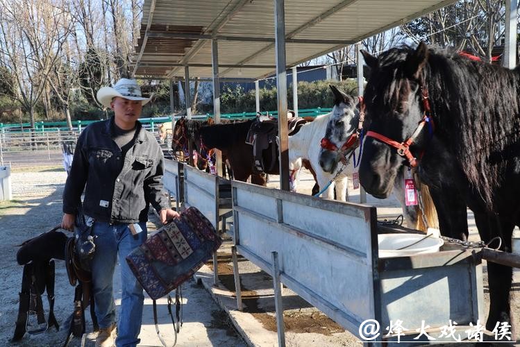 “马年抓马”在大理设现场抓马分会场 “马年抓马”在大理设现场抓马分会场